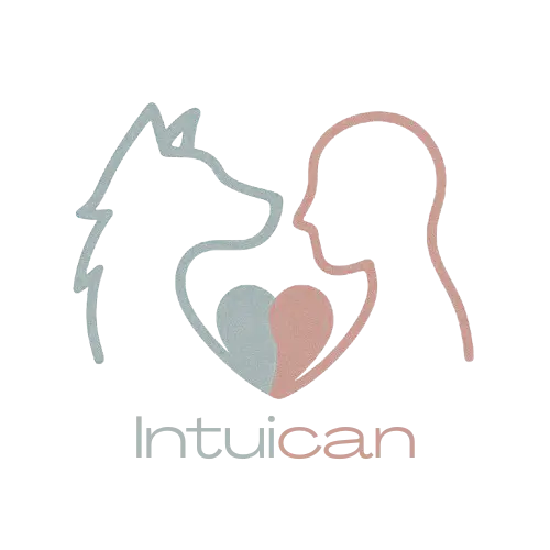 Intuican Escuela